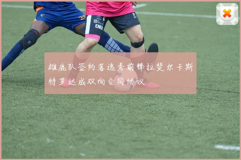 雄鹿队签约落选秀前锋拉斐尔卡斯特罗达成双向合同协议