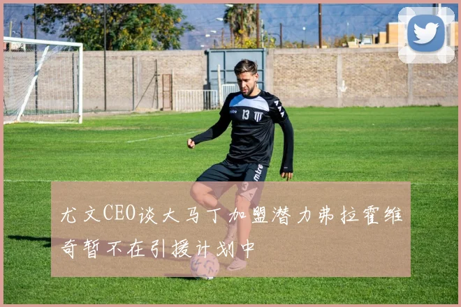 尤文CEO谈大马丁加盟潜力弗拉霍维奇暂不在引援计划中