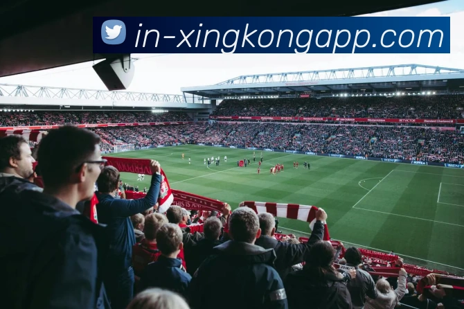 星空体育APP 封面图
